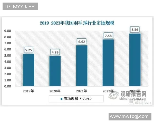 武汉羽毛球队的整体压制揭秘与深度分析羽毛球运动的未来发展趋势