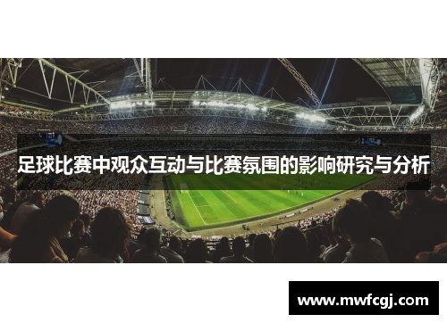 足球比赛中观众互动与比赛氛围的影响研究与分析