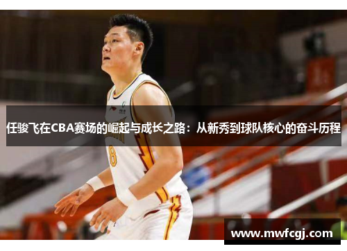 任骏飞在CBA赛场的崛起与成长之路：从新秀到球队核心的奋斗历程